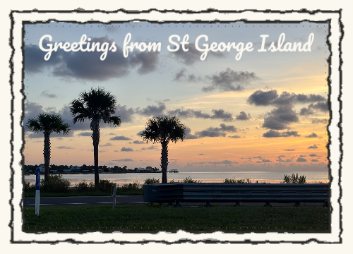 A postcard from the trip